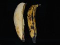 Difference Between Plantains and Bananas: Ripe Plantain Recipes