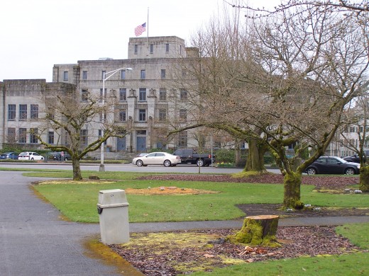 The hospital
