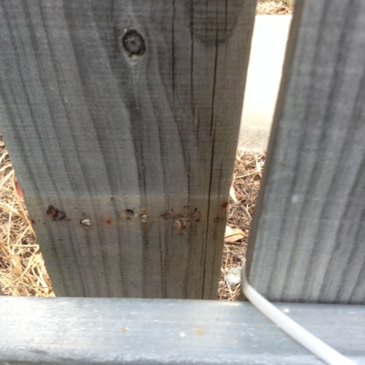 14 NOV 2016 gate damage