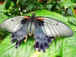 Ten Interesting Careers for People With a Biology Degree