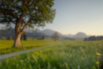 Cataract causes a blurry vision in victims