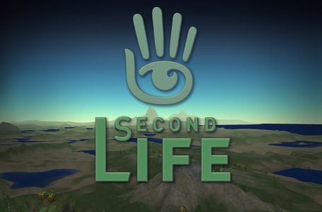 This is the Second Life logo.