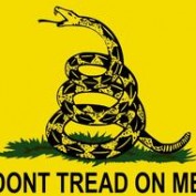 Contrarian profile image