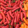 Study: Eating Hot Peppers Extends Lifespan by 13 Years