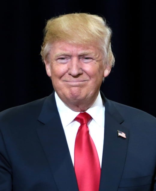 Donald J. Trump - 45th President of the United States