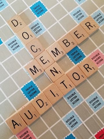 Auditors at times go easy on their clients' jigsaw puzzle to protect them and keep the business