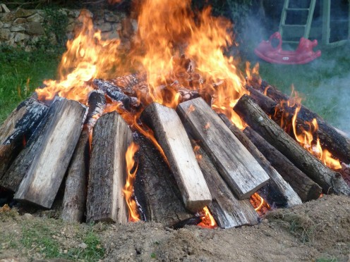 How to Burn Out a Tree Stump the Easy Way How to Burn Out a Tree Stump the Easy Way