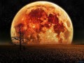 Death, Under the Harvest Moon