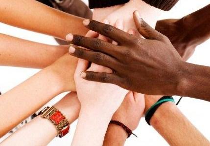 "A unity in Phenotypic diversity"