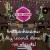 Build your own record store for decoration or retail with the DIY Record Store set! It contains over 96 objects. Build your own record store for decoration or retail with the DIY Record Store set! It contains over 96 objects.