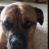 Geterdone profile image