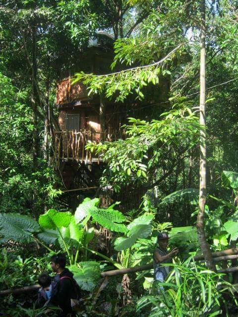 And this is the tree house, good for overnight stay