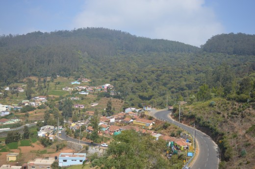 Ooty- clicked by me