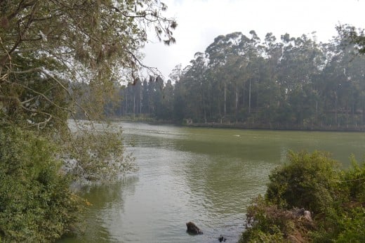 Ooty Lake- clicked by me 