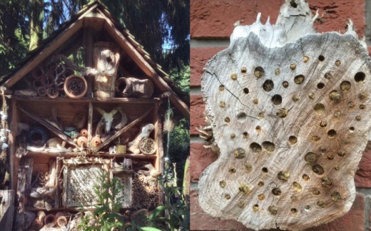 A more complicated and a very simple bug house