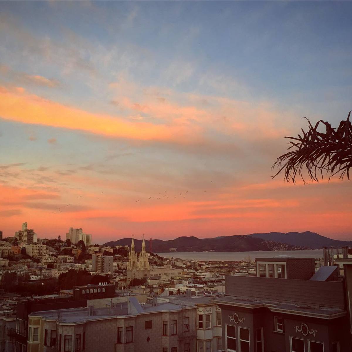 Top Things to Do in San Francisco’s North Beach Neighborhood | WanderWisdom