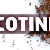How Long Does Nicotine Stay In Your System? (Blood, Urine and Saliva)