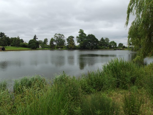 my syndicate lake