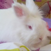 Willow P profile image