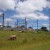 Rural KwaZulu-Natal, South Africa Rural KwaZulu-Natal, South Africa