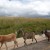 Rural KwaZulu-Natal, South Africa Rural KwaZulu-Natal, South Africa