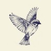 The Black Sparrow profile image