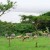 Zeekogat, KwaZulu-Natal, South Africa Zeekogat, KwaZulu-Natal, South Africa