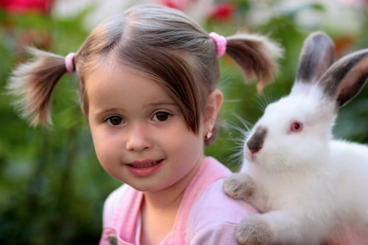 Small pet rabbits will fit neatly in a carrier under the seat.