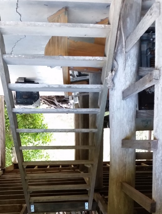 Back down the ladder of time