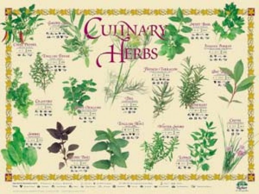 Five Essential Herbs in the Kitchen | Delishably on {keyword}