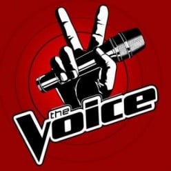 The Voice Winners