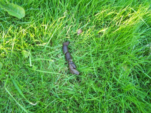 A world without the Arts is like . . . 