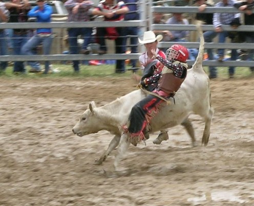 A rodeo clown assists a junior calf rider.