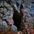 Deep, dark cave of negativity. Deep, dark cave of negativity.