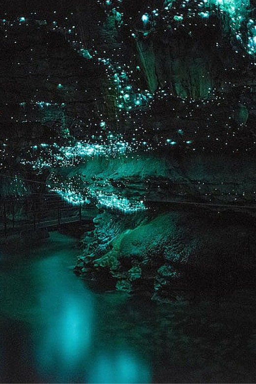 spectacular galaxy of glowworms!!!!!