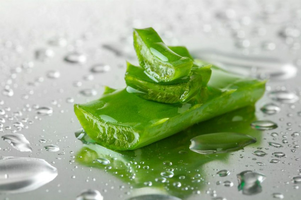 Aloe Vera for Acid Reflux HubPages