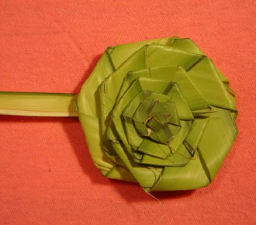 how-to-make-a-palm-rose-for-palm-sunday-hubpages