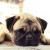 http://www.flickr.com/photos/sachin_sandhu/3370137558/ http://www.flickr.com/photos/sachin_sandhu/3370137558/