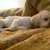 http://www.flickr.com/photos/19613690@N05/3688260189/ http://www.flickr.com/photos/19613690@N05/3688260189/
