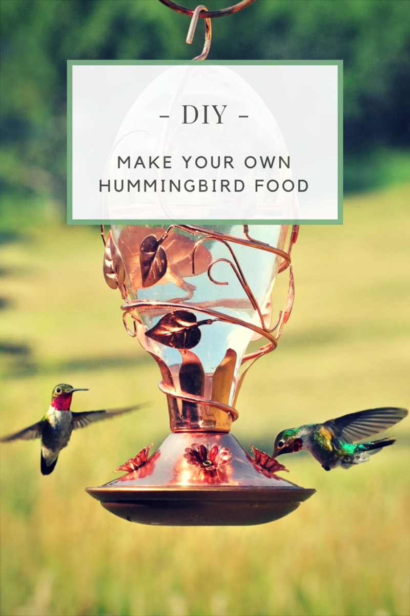 Super Easy Recipe for Hummingbird Food