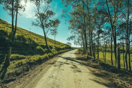 There are so many paths we can take.  Are we supposed to follow them to the extreme?  Why can't we all walk them together?  