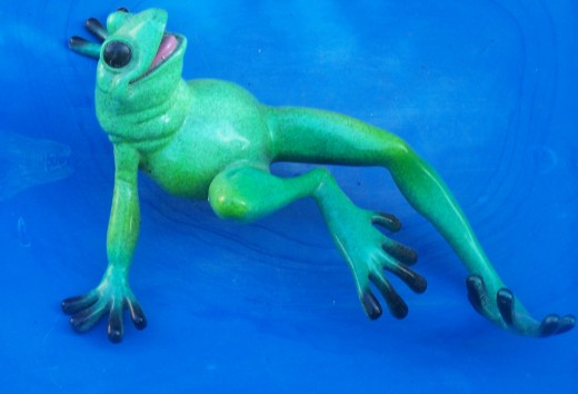 I know who I am...just a well adjusted frog...
