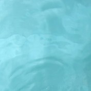 India 360 profile image