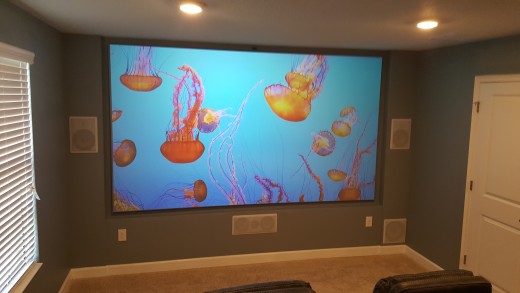 The picture quality with the lights on in the room and ambient light coming in from outside. For a projector I think the image is still astounding. The image is from a Netflix 4K nature show.