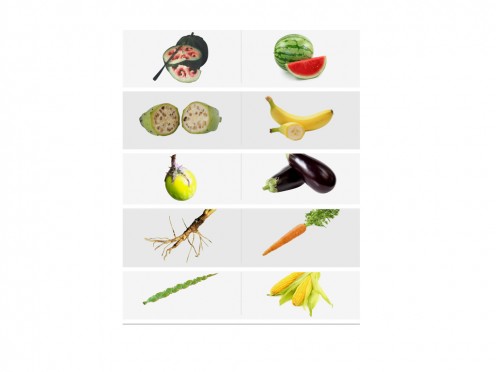GMOs: Past or Future? GMOs: Past or Future?
