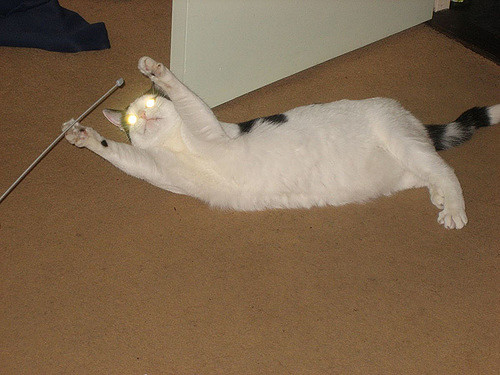 I am the almighty wizard of the entire universe!