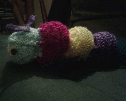 Knitted caterpillar that author's daughter took hours to knit and finish.