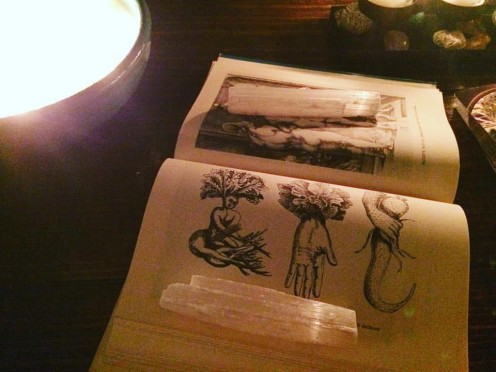 Plant Lore: The Magical Mandrake Plant Lore: The Magical Mandrake