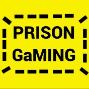 Prison Gaming profile image