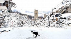 While the earthquake people are waiting for the government, to give them some temporary warm shelter, it is already snowing, so, it is cold over there, and there are also other problems, that need to be solved soon. 